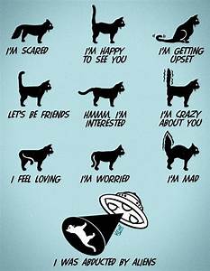 But I Thought Cats Were Aliens Catsfunnysayings Cat Cat