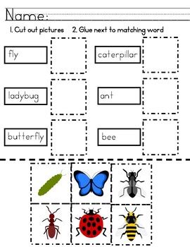 Insect vocabulary sheet basic insect vocabulary sheet fancy. Insects-Cut and Paste worksheets by AUsome Elementary | TpT