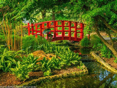 Japanese Garden Miami Beach Botanical Garden