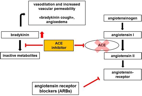 Suehiro, t., morita, t., inoue, m., kumon, y., ikeda, y., hashimoto, k. Preoperative angiotensin converting enzyme inhibitor usage ...