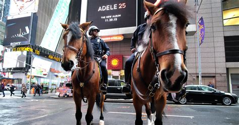 Behind The Scenes With The Nypds Elite Mounted Unit Cbs New York