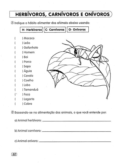 Atividades Sobre Relações Ecológicas 4 Ano