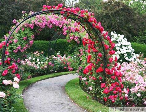 The florence arbor offers a beautiful swoop arch design to add a graceful accent to your yard, garden or pathway. 20 Metal Arches and Beautiful Yard Landscaping Ideas