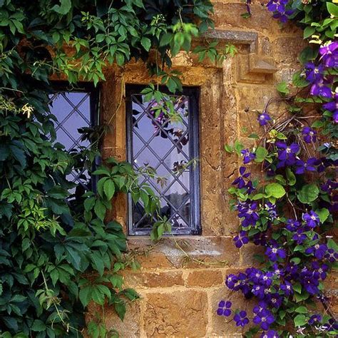 The Cottage Window The Cotswolds Photo By Graham Pargeter Lrps