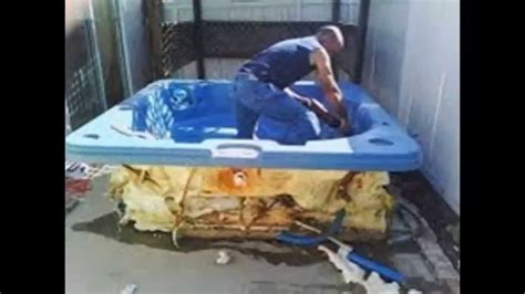 Critter gitters wildlife removal san diego is a family owned and operated company out of san diego! I-HAUL San Diego Junk Removal & Demolition Specialists 760 ...