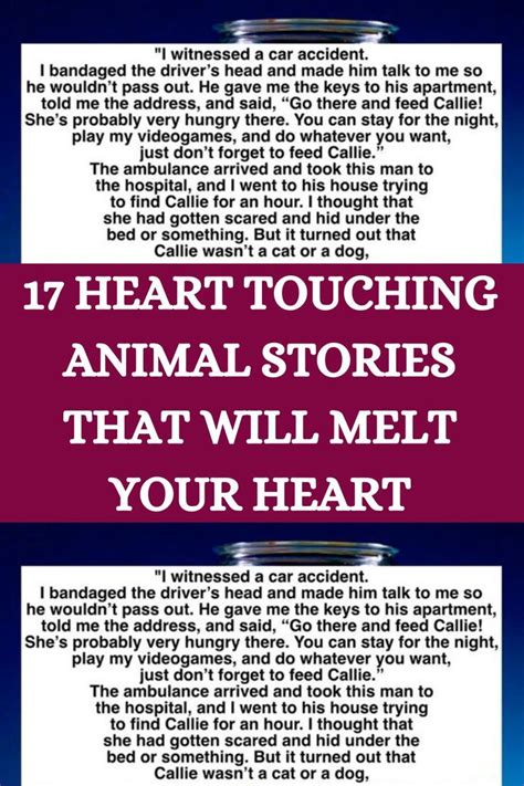 17 Heart Touching Animal Stories That Will Melt Your Heart In 2022