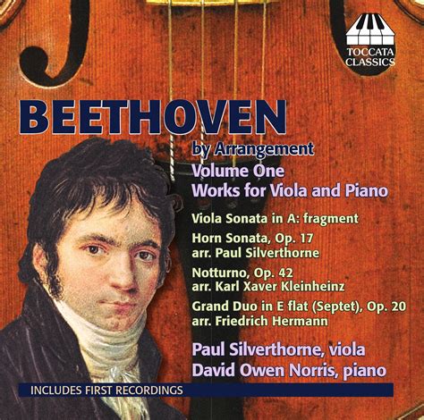 Diabolus In Musica Beethoven By Arrangement Paul Silverthorne David