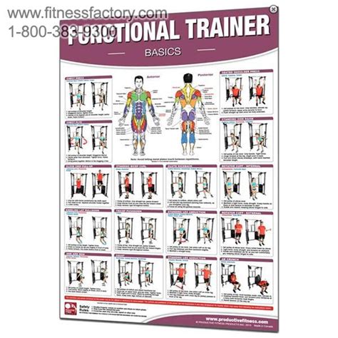 Functional Trainer Exercises Laminated Poster