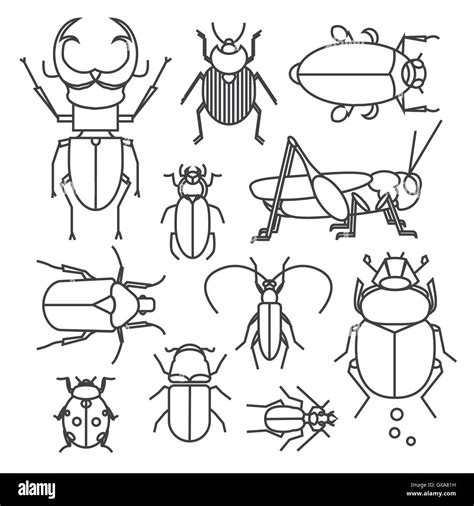 Colección De Vectores De Distintos Insectos Conjunto De Iconos De