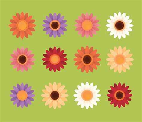 34 gerbera daisy paintings ranked in order of popularity and relevancy. Gerbera Daisy Illustrations, Royalty-Free Vector Graphics ...