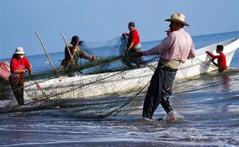 Viven De La Pesca Y Acuacultura 300 Mil Personas