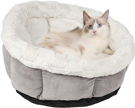 Beds And Sofas For Cats Uk