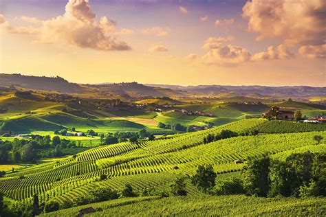 Wines Of The Langhe Piemonte Grignolino
