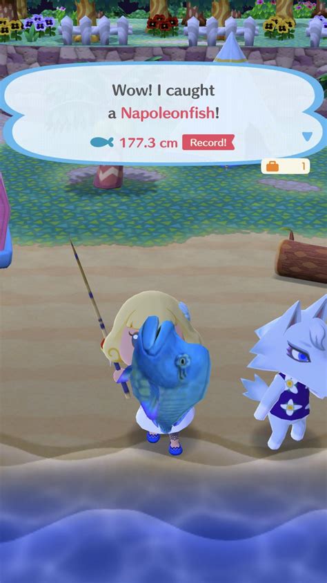 This is a list of the fish in animal crossing city folk. all about rare animals | unique animals and more....: How To Catch Rare Fish In Animal Crossing