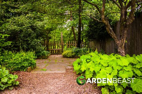 What Is A Woodland Garden And How To Create One Heres All You Need To