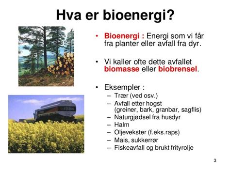 Bioenergi