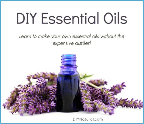 Diy Essential Oils Learn How To Make Your Own Essential Oils