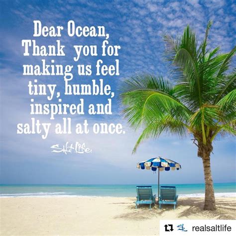 80 Awesome Beach Quotes For Summer - Blurmark