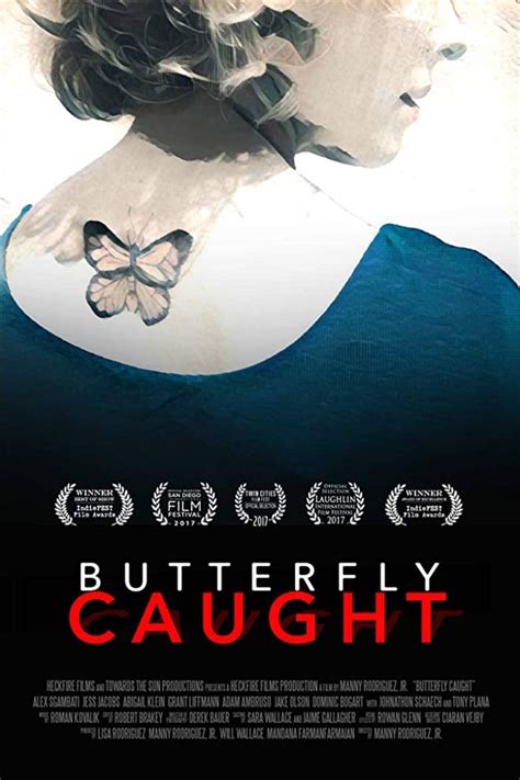 Butterfly Caught 2017 Posters — The Movie Database Tmdb