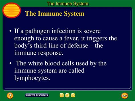 Ppt The Immune System Powerpoint Presentation Free Download Id899636