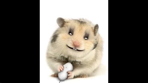 04 Evil Hamster Youtube