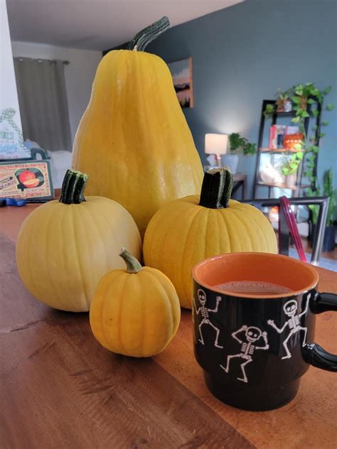 Proud Of Our Fun And Odd Shaped Pumpkins Rvegetablegardening
