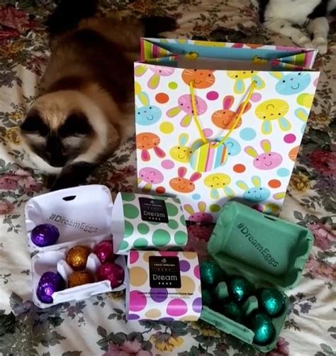 Pin By Michele Mckenzie Bobbitt On Easter Cats Easter Cats Lunch Box Easter