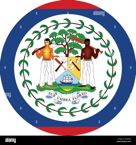 Vector Icon Flag Of Belize Central American Country Belize Flag Sign