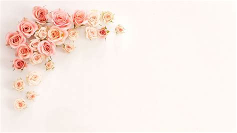 Bunch Of Rose Gold Flowers In White Background Hd Rose Gold Wallpapers