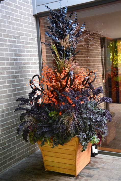 Fall Container Plantings Deborah Silver And Co