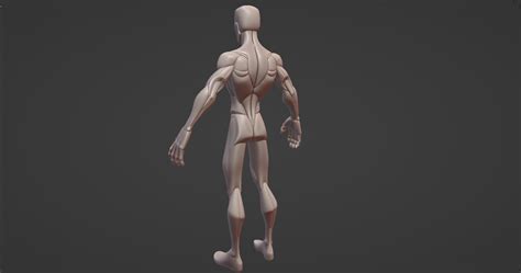 Artstation Stylized Male Anatomy Blockout V2 Resources