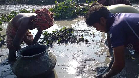 Traditional Hand Fishing Video Hand Fish Catching In Village Best
