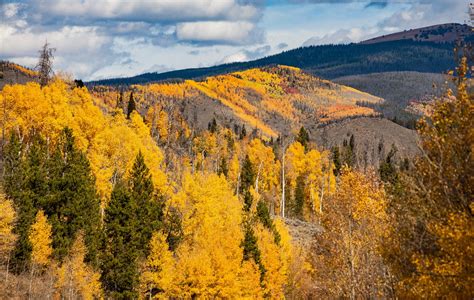 Best Time To See Rocky Mountain National Park Fall Colors In Rocky