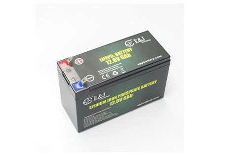 128v 6ah Lithium Iron Phosphate Battery Pack Advanced Professional