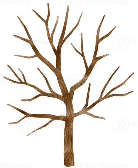 árbol Muerto Sin Hojas árbol Seco Ilustración Acuarela Para Elemento