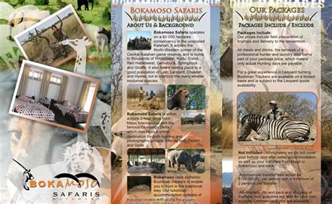 Bokamoso Safaris Web Design Company Pretoria And Cape Town Since