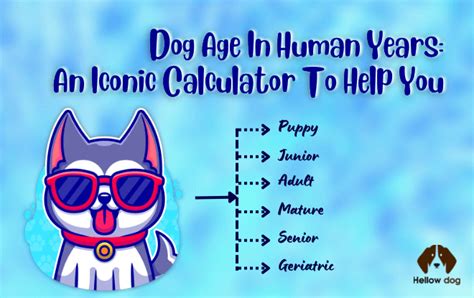 Dog Age In Human Years An Iconic Calculator To Help You