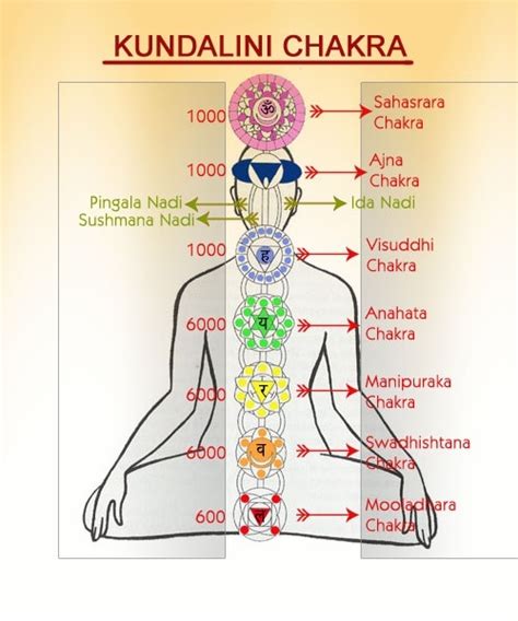You need the right mantras and mudras for opening the chakras. Are kundalini and chakras the same? Is it possible to ...