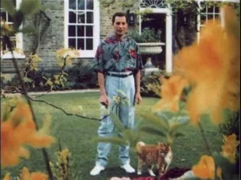 We're about to get morbid with 10 famous final photographs taken of celebrities and historical figures before they died. Last Photo Of Freddie Mercury Alive - YouTube