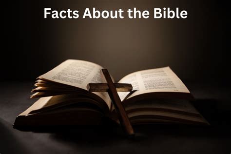 15 Facts About The Bible Have Fun With History