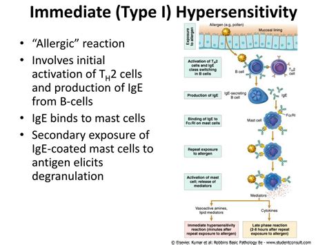 Ppt Diseases Of The Immune System And Neoplastic Disease Powerpoint
