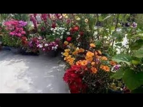 Beautiful fabric hanging flower under 10 mins for blouse|fly blouse hangings. 1195 - March me terrace garden ka chota sa view, badal chaye hain, garden ki saaf safai, kuch ...
