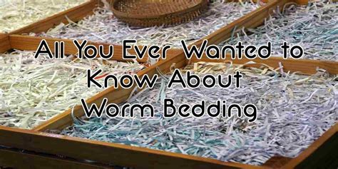 All You Ever Wanted To Know About Worm Bedding Worm Beds Worm