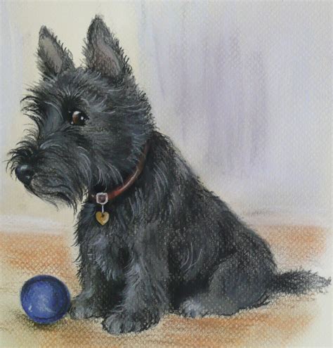 Dogsscottish Terrier My Ball Open Edition Fine Art Print Original Art