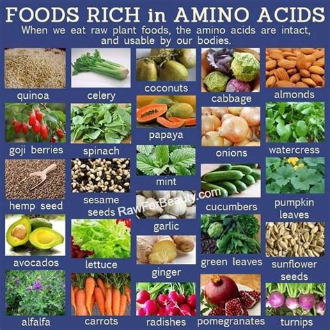 Foods Rich In Amino Acids Nutritious Snacks Amino Acids Food Amino