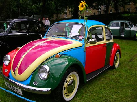 This is one of the most variable species in the world, with an exceptionally wide range of colour forms. VWVortex.com - Harlequin MK1?