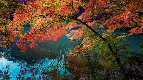 Autumn River Reflection Trees Autumn Rivers Reflections Hd