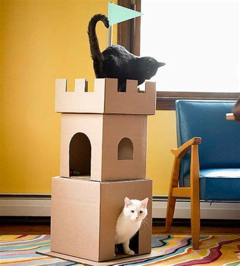 Kamu dapat coba bikin di rumah kamu. 24+ Kerajinan Rumah Kucing Dari Kardus, Spesial!