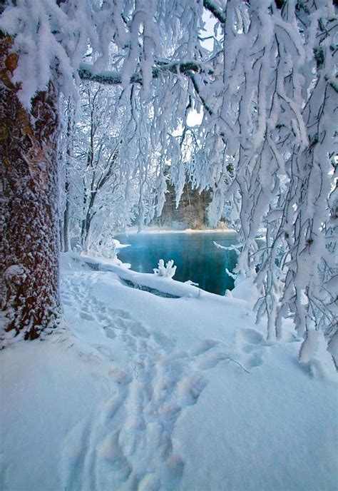 2555 Best Images About Winter Wonderland On Pinterest Winter