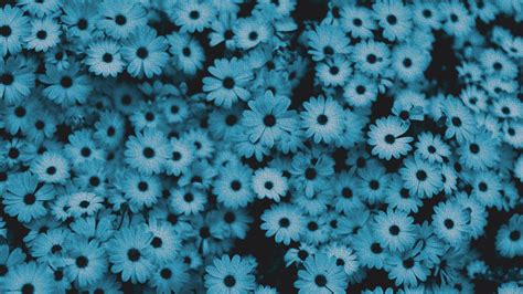 We hope you enjoy our growing collection of hd images to use as a background or home screen for your smartphone or computer. Blue Flower Wallpaper (60+ pictures)